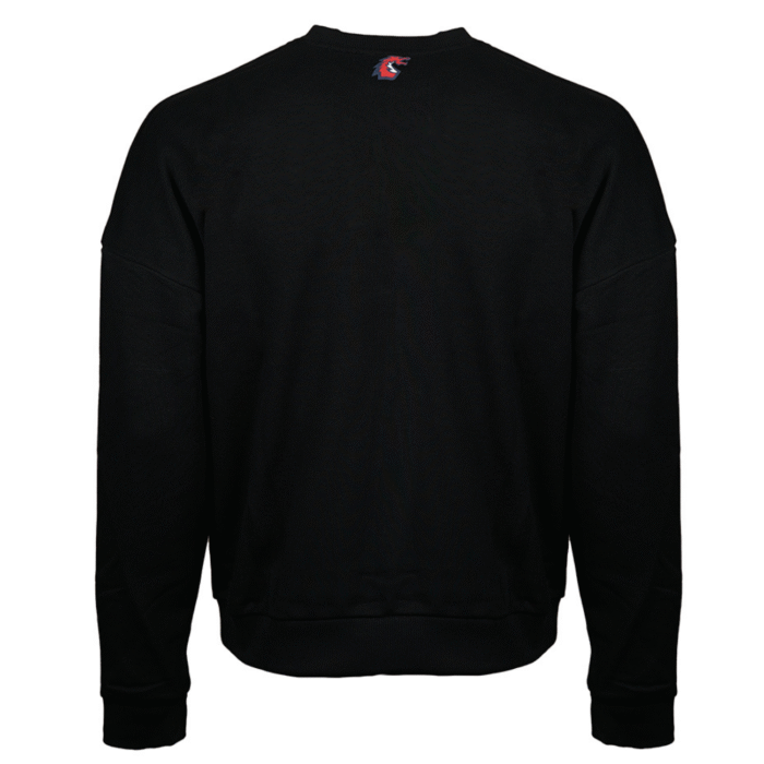 BK Team Sweat Siyah - Görsel 2